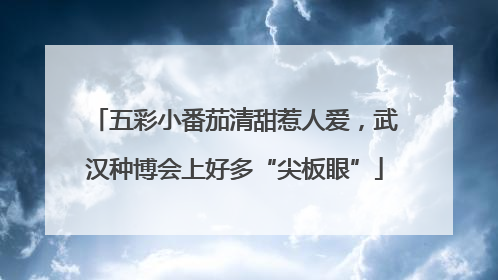 五彩小番茄清甜惹人爱，武汉种博会上好多“尖板眼”