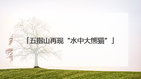 五指山再现“水中大熊猫”