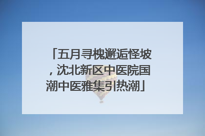 五月寻槐邂逅怪坡，沈北新区中医院国潮中医雅集引热潮