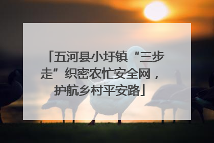 五河县小圩镇“三步走”织密农忙安全网，护航乡村平安路