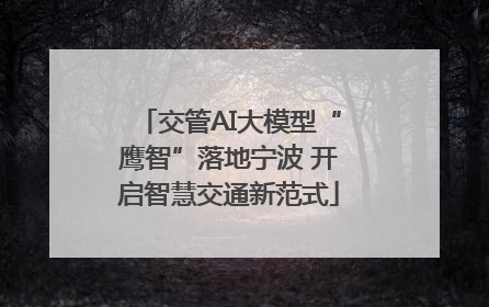 交管AI大模型“鹰智”落地宁波 开启智慧交通新范式