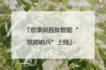 京津冀首批智能“铁路哨兵”上线