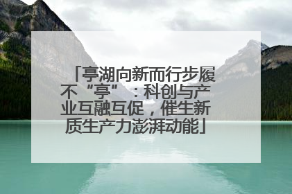 亭湖向新而行步履不“亭”：科创与产业互融互促，催生新质生产力澎湃动能