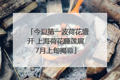今夏第一波荷花盛开 上海荷花睡莲展7月上旬揭幕