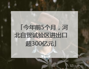 今年前5个月，河北自贸试验区进出口超300亿元