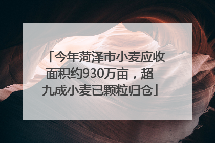 今年菏泽市小麦应收面积约930万亩，超九成小麦已颗粒归仓