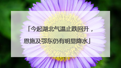 今起湖北气温止跌回升，恩施及鄂东仍有明显降水