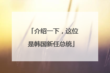 介绍一下，这位是韩国新任总统