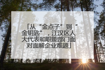 从“金点子”到“金钥匙”，江汉区人大代表和职能部门面对面解企业难题