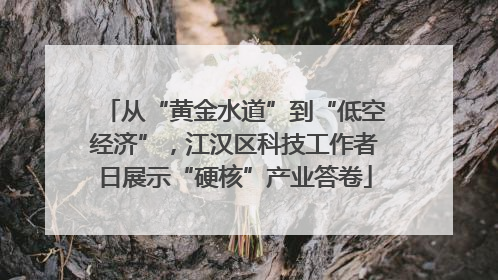 从“黄金水道”到“低空经济”，江汉区科技工作者日展示“硬核”产业答卷