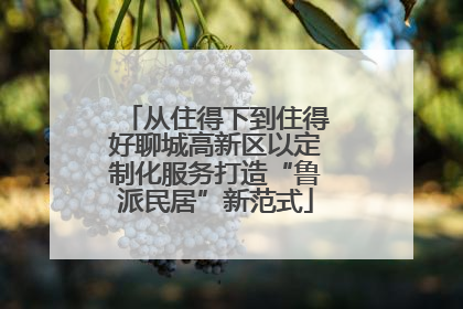 从住得下到住得好聊城高新区以定制化服务打造“鲁派民居”新范式