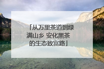 从万里茶道到绿满山乡 安化黑茶的生态致富路