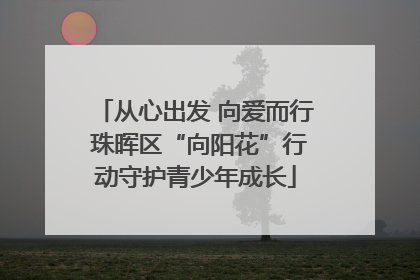 从心出发 向爱而行 珠晖区“向阳花”行动守护青少年成长