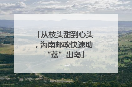 从枝头甜到心头，海南邮政快速助“荔”出岛