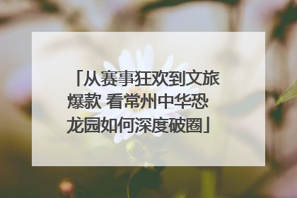 从赛事狂欢到文旅爆款 看常州中华恐龙园如何深度破圈