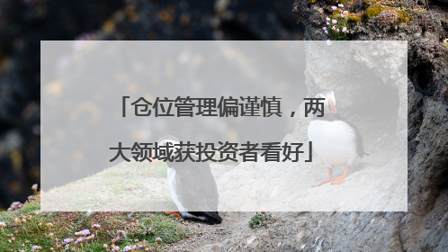 仓位管理偏谨慎，两大领域获投资者看好