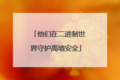 他们在二进制世界守护高墙安全