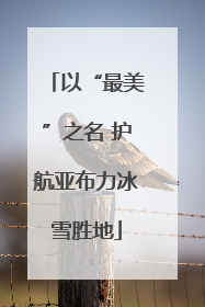 以“最美”之名 护航亚布力冰雪胜地
