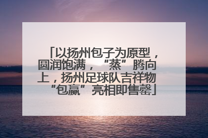 以扬州包子为原型，圆润饱满，“蒸”腾向上，扬州足球队吉祥物“包赢”亮相即售罄