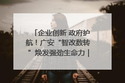 企业创新 政府护航！广安“智改数转”焕发强劲生命力｜市州焕新力