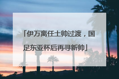 伊万离任土帅过渡，国足东亚杯后再寻新帅