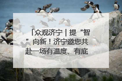 众观济宁｜提“智”向新！济宁邀您共赴一场有温度、有底气的“智造”之约