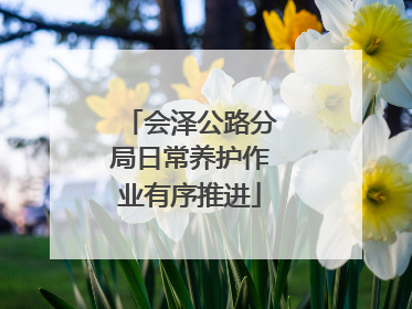 会泽公路分局日常养护作业有序推进