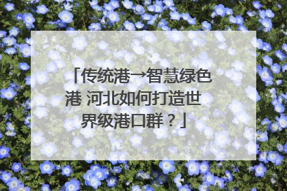 传统港→智慧绿色港 河北如何打造世界级港口群？