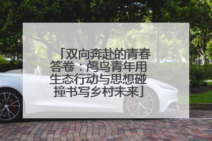 双向奔赴的青春答卷：鸬鸟青年用生态行动与思想碰撞书写乡村未来