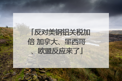 反对美钢铝关税加倍 加拿大、墨西哥、欧盟反应来了