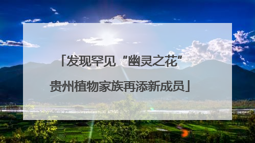 发现罕见“幽灵之花” 贵州植物家族再添新成员
