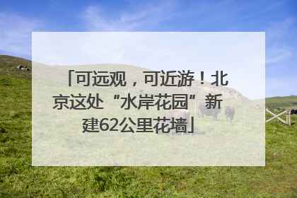 可远观，可近游！北京这处“水岸花园”新建62公里花墙