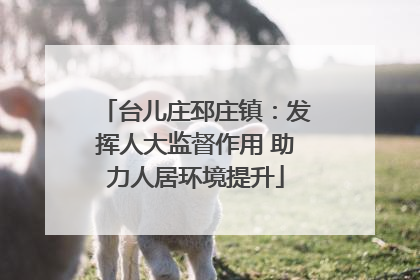 台儿庄邳庄镇：发挥人大监督作用 助力人居环境提升