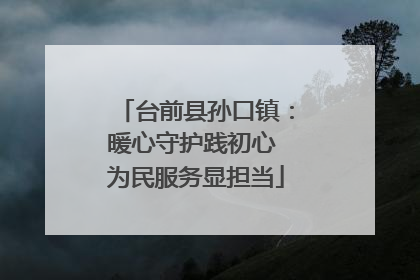 台前县孙口镇：暖心守护践初心 为民服务显担当