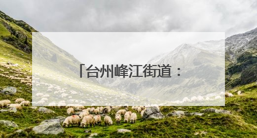 台州峰江街道：外国友人沉浸式体验乡村文化魅力