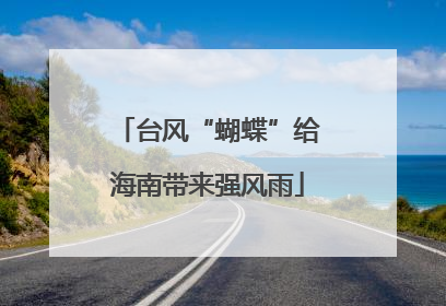台风“蝴蝶”给海南带来强风雨