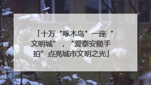 十万“啄木鸟”一座“文明城”，“爱泰安随手拍”点亮城市文明之光