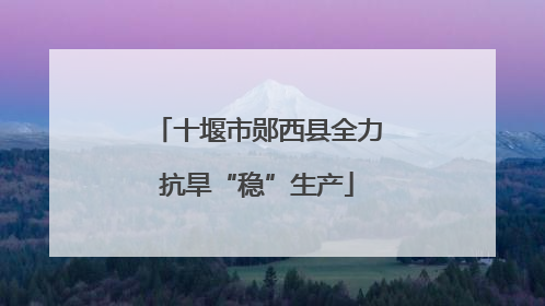 十堰市郧西县全力抗旱“稳”生产