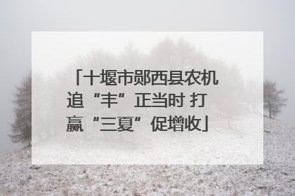 十堰市郧西县农机追“丰”正当时 打赢“三夏”促增收