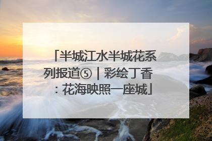 半城江水半城花系列报道⑤｜彩绘丁香：花海映照一座城