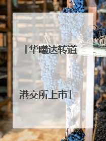 华曦达转道港交所上市