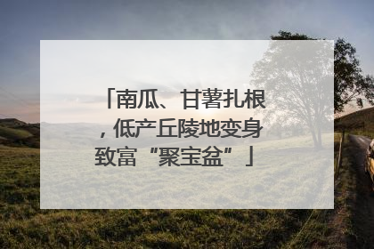 南瓜、甘薯扎根，低产丘陵地变身致富“聚宝盆”