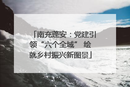 南充蓬安：党建引领“六个全域” 绘就乡村振兴新图景