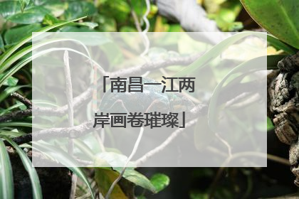 南昌一江两岸画卷璀璨