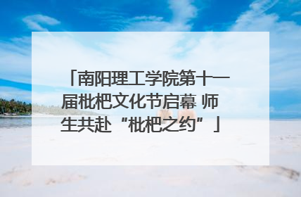 南阳理工学院第十一届枇杷文化节启幕 师生共赴“枇杷之约”