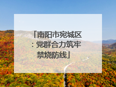 南阳市宛城区：党群合力筑牢禁烧防线