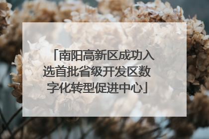 南阳高新区成功入选首批省级开发区数字化转型促进中心