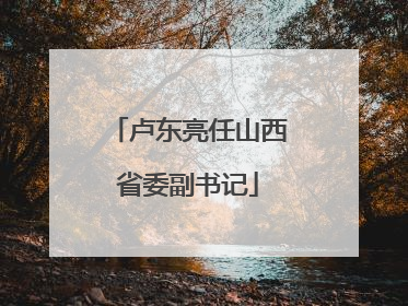 卢东亮任山西省委副书记