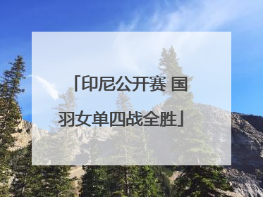 印尼公开赛 国羽女单四战全胜
