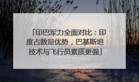 印巴军力全面对比：印度占数量优势，巴基斯坦技术与飞行员素质更强